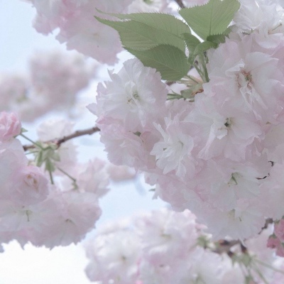 黑河福瑞交流群